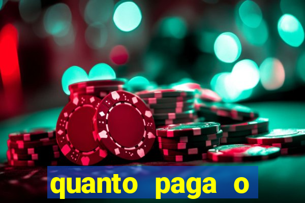 quanto paga o jungle fight